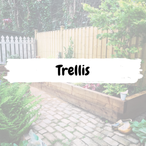 Trellis
